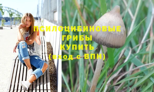 хмурый Волосово