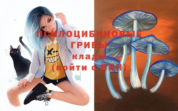 шишки Вязники
