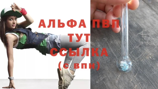 шишки Вязники